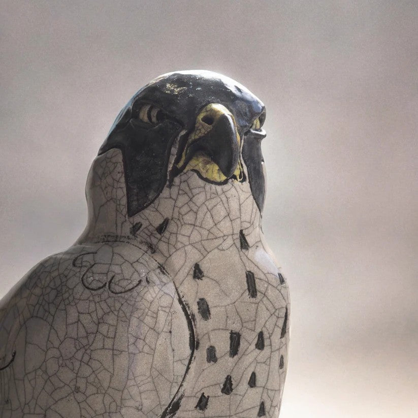 A GIFT FROM PRIMAVERA