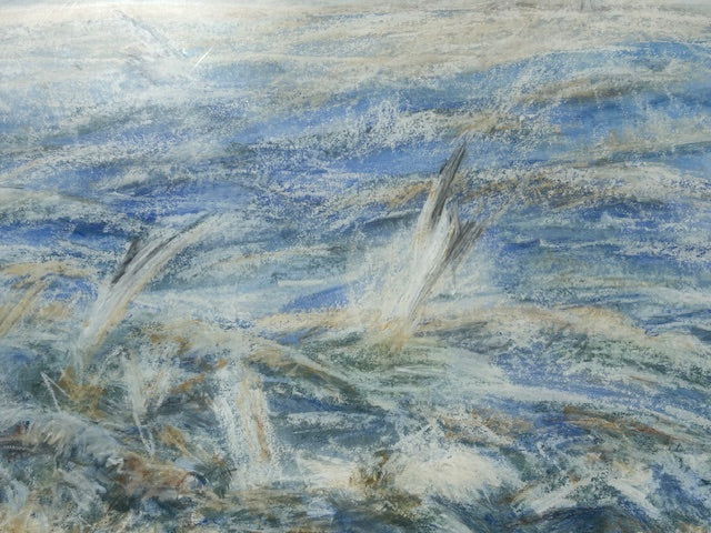 Thomas, Jean - Frenzy of Gulls