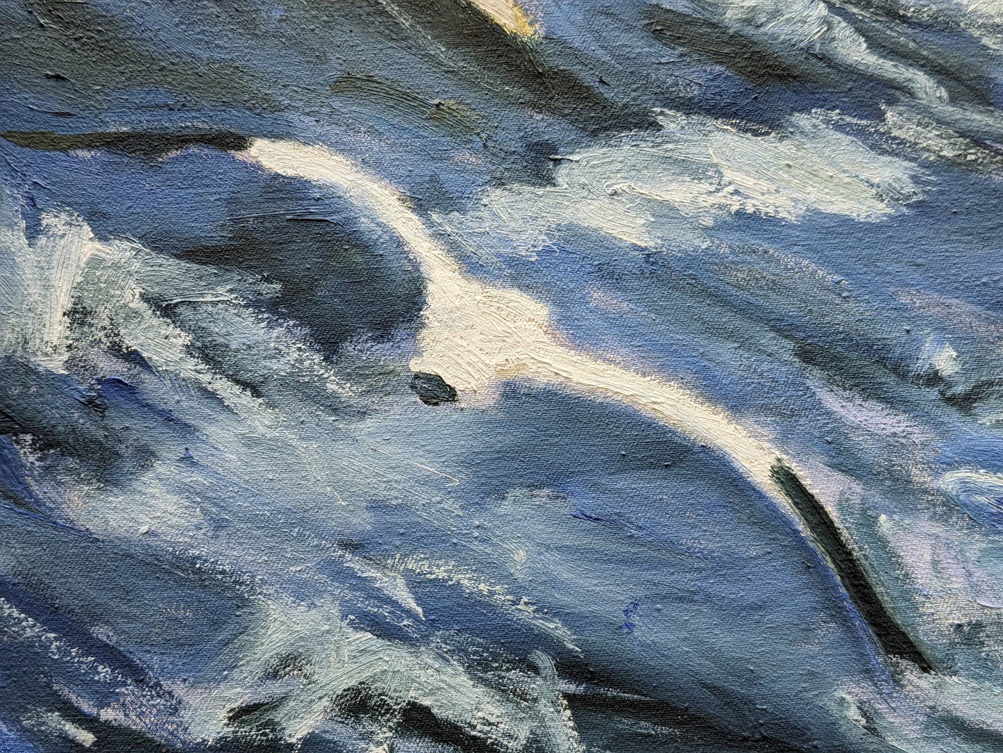 Thomas, Jean - Gannets Seen Through Goggles & Emerging Diver