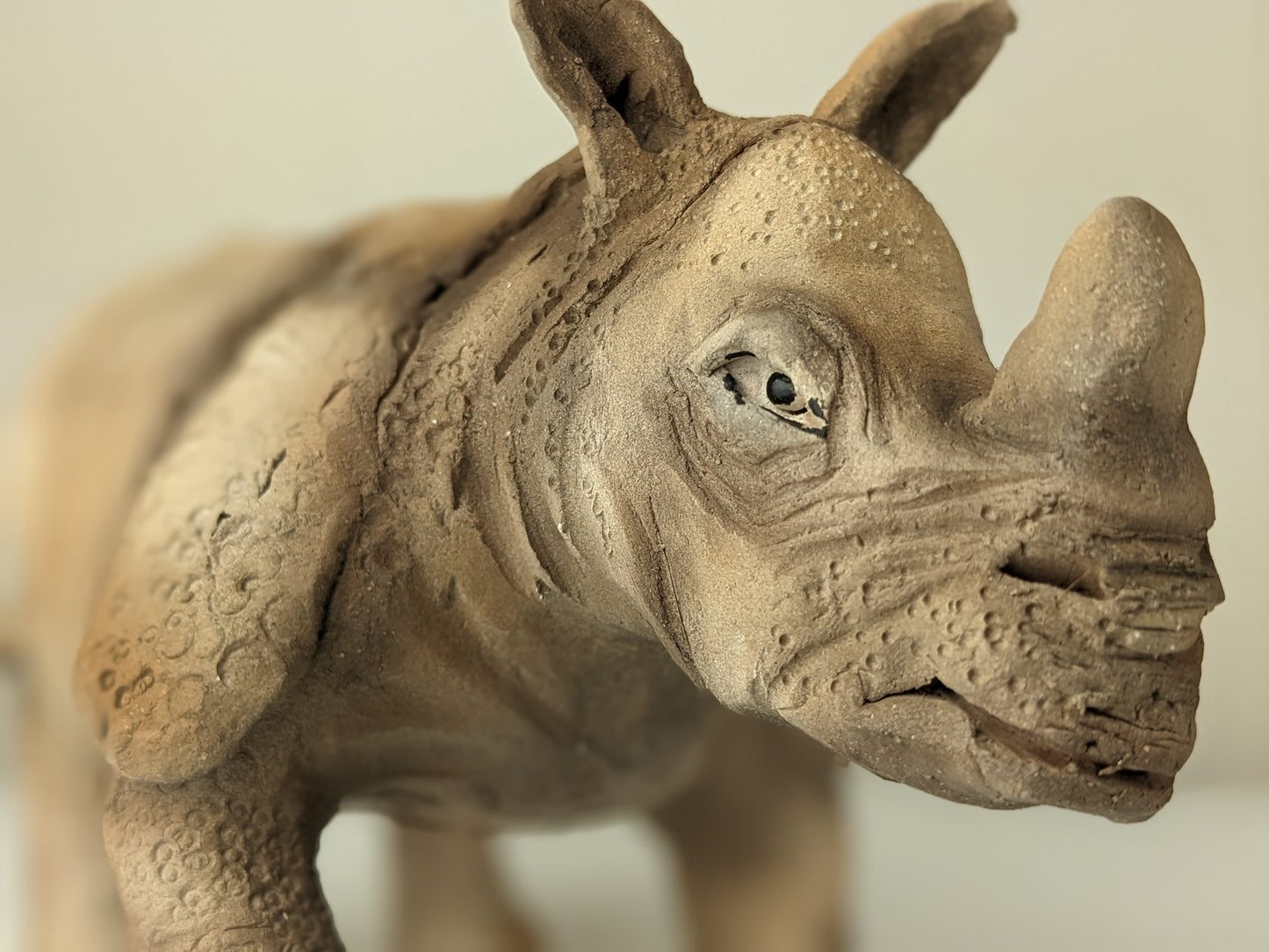 Cobley, Yvette - Rhino