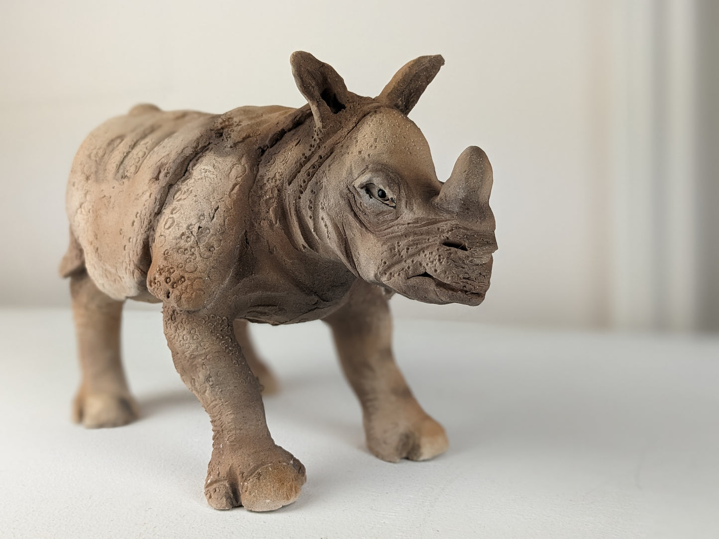 Cobley, Yvette - Rhino