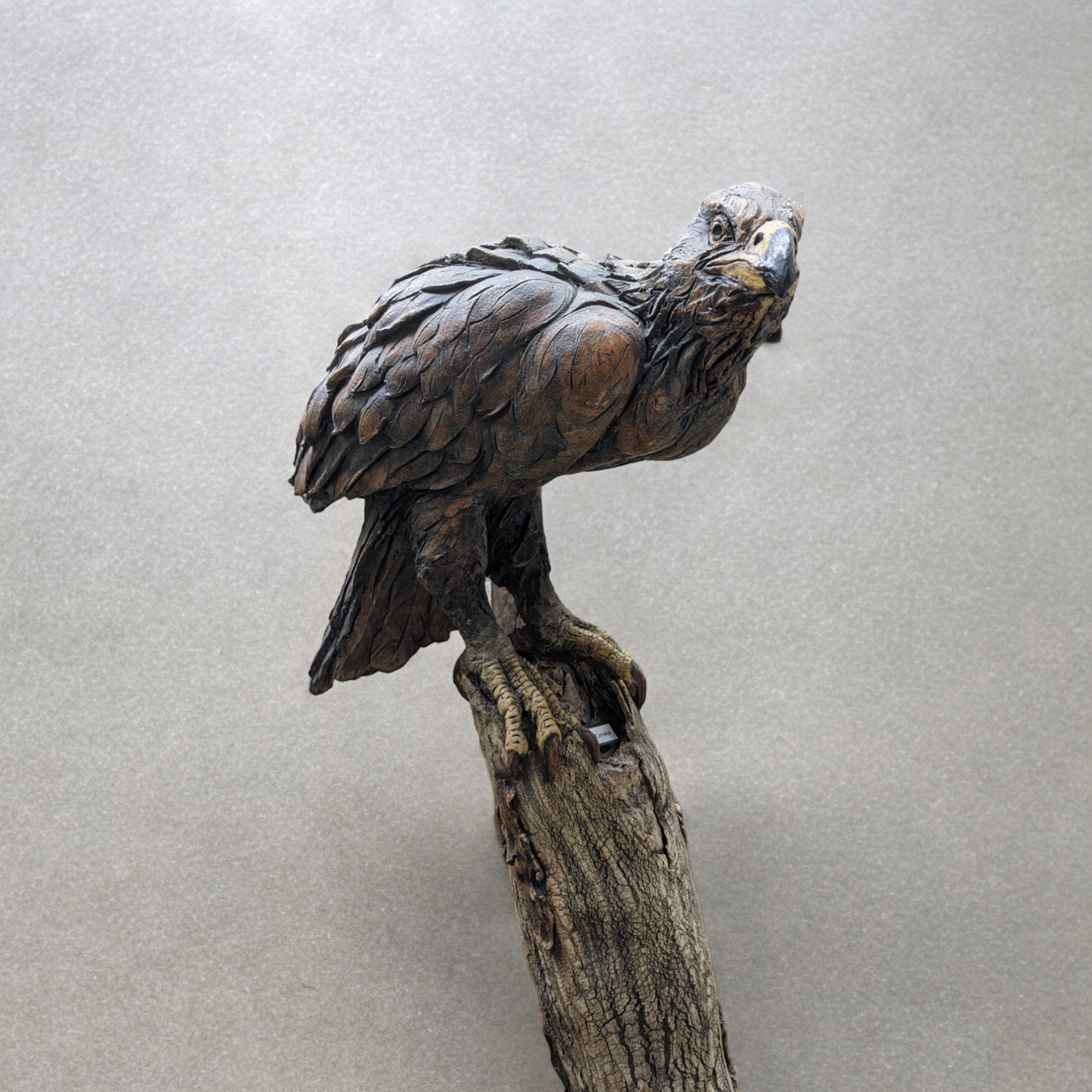 Cooke, David - Ceramic Eagle