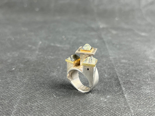 Ambery-Smith, Vicki –Silver, Gold and Rooftop Ring