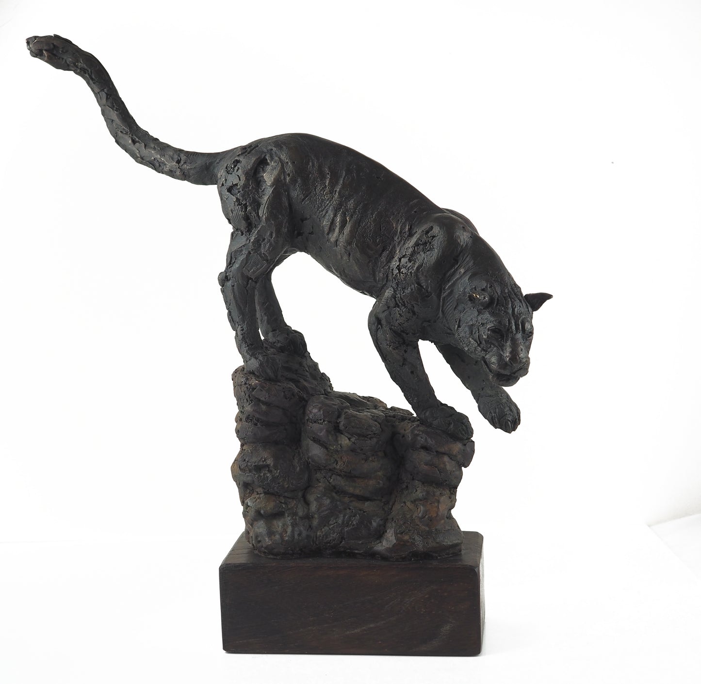 Cooke, David - Bronze Panther | David Cooke | Primavera Gallery