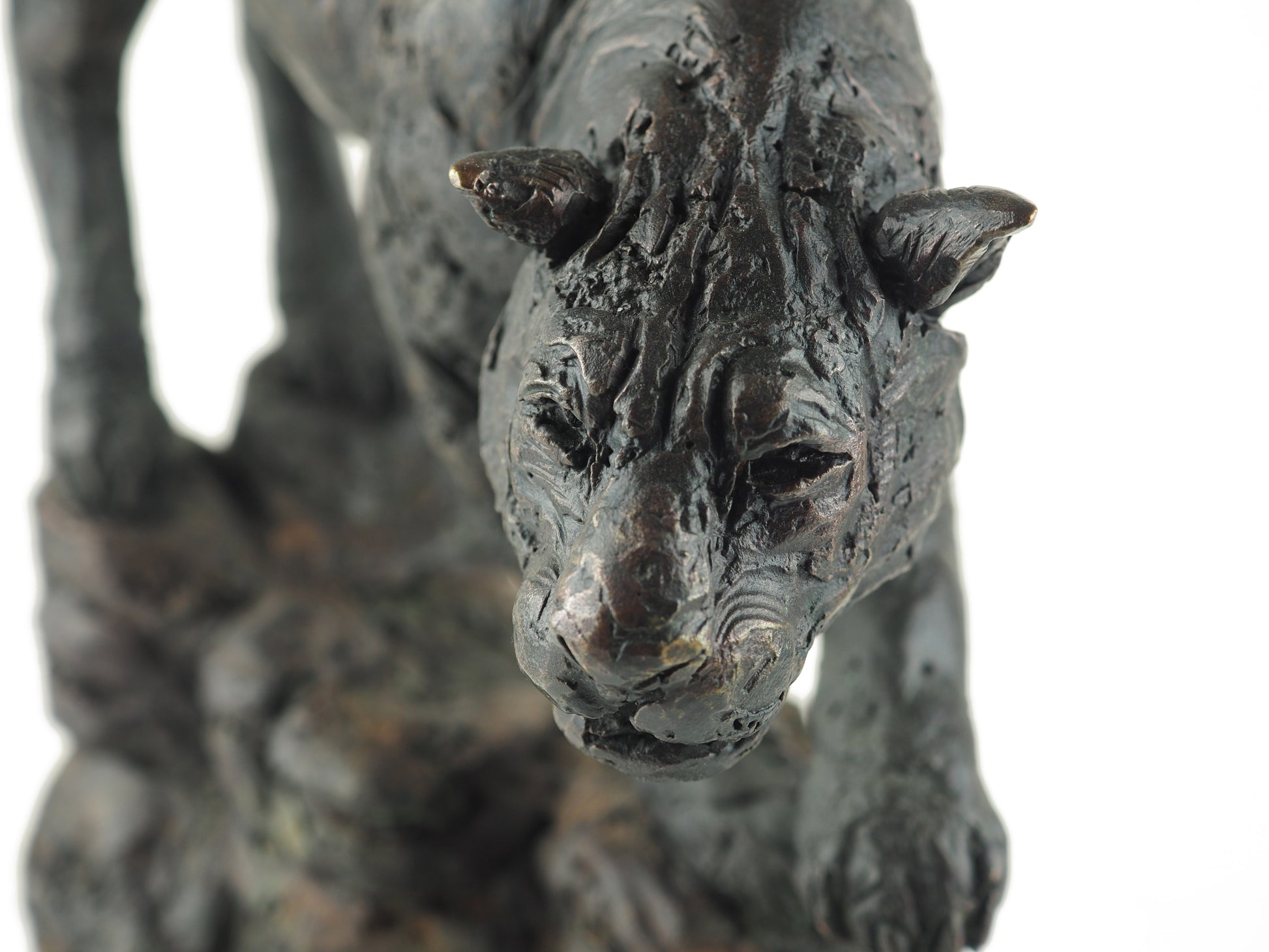 Cooke, David - Bronze Panther | David Cooke | Primavera Gallery