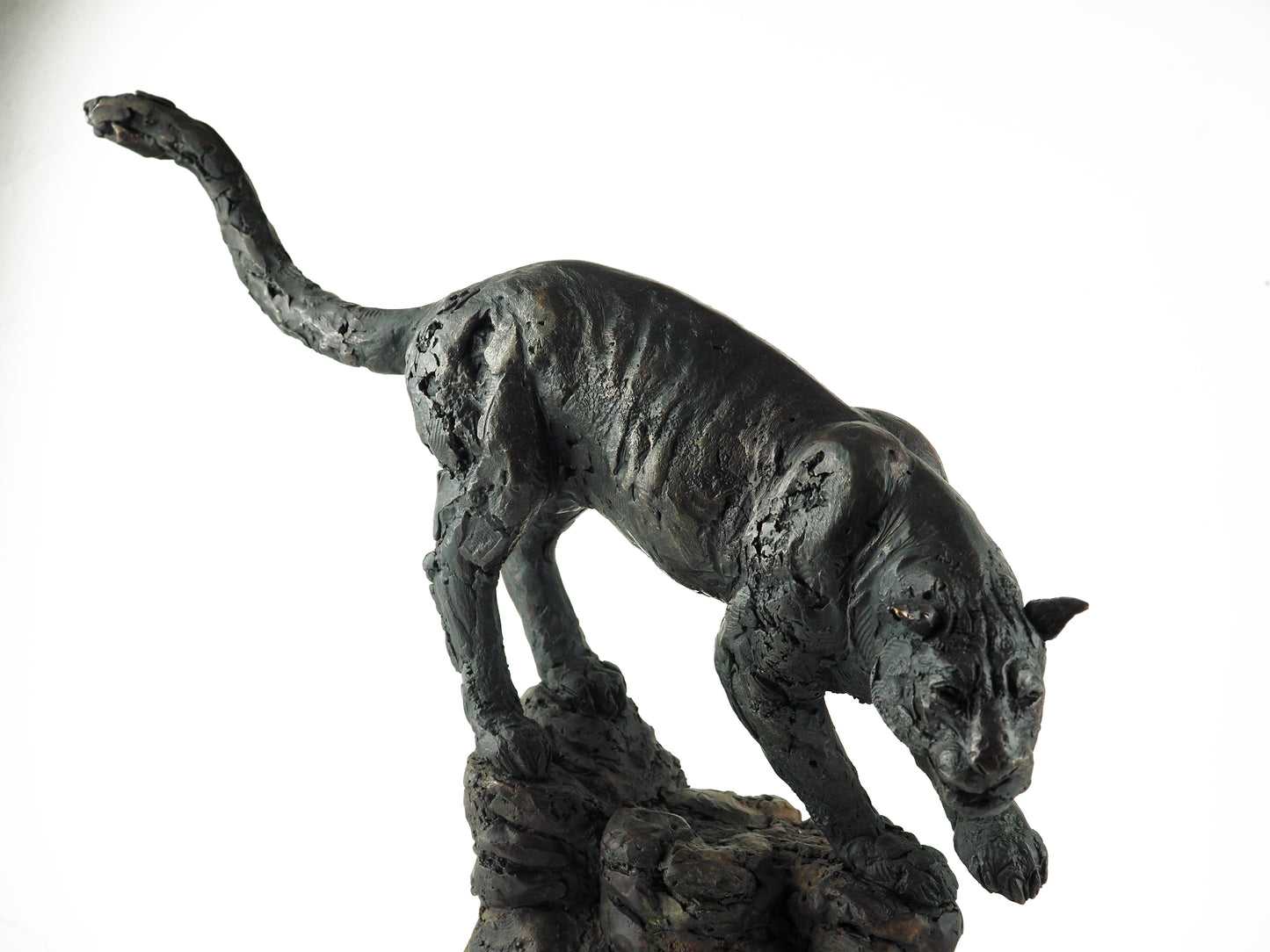 Cooke, David - Bronze Panther | David Cooke | Primavera Gallery