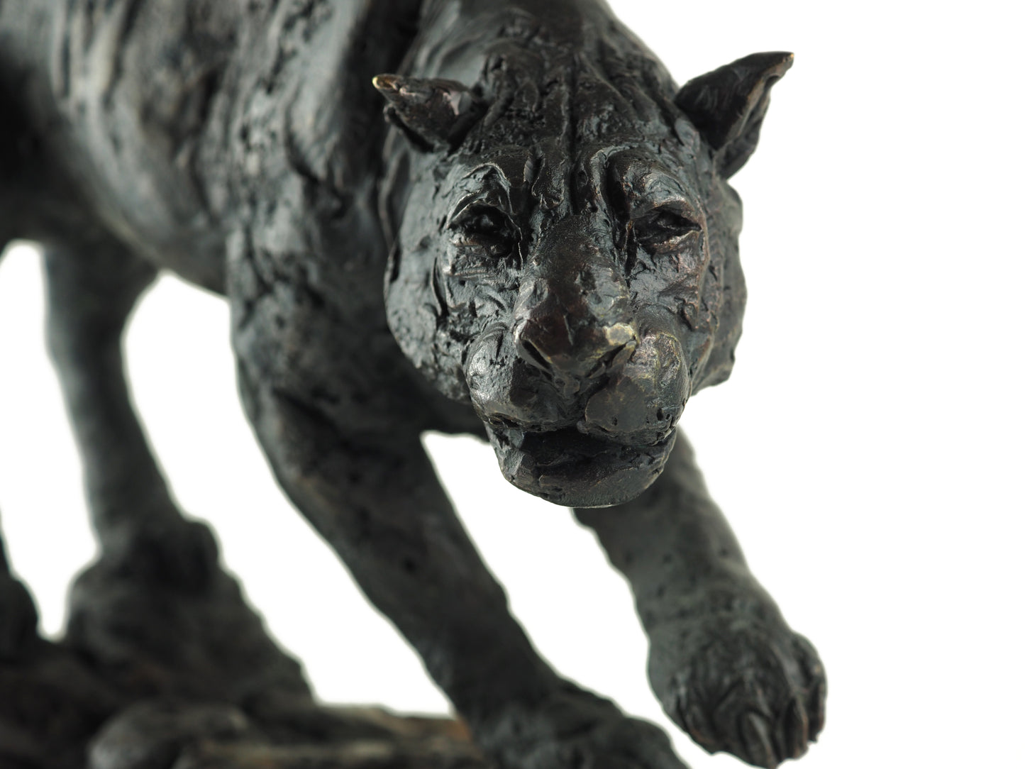 Cooke, David - Bronze Panther | David Cooke | Primavera Gallery