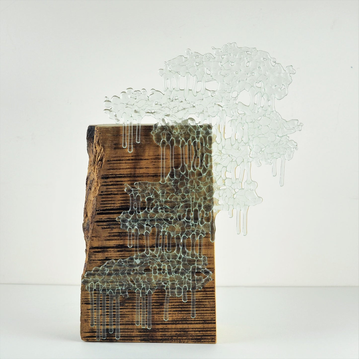 Rylatt, Paula - Aspen | Paula Rylatt | Primavera Gallery