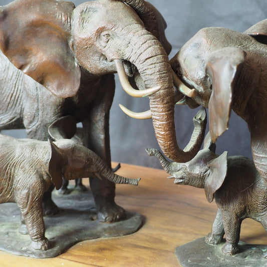 Mathews, Terry – Elephants