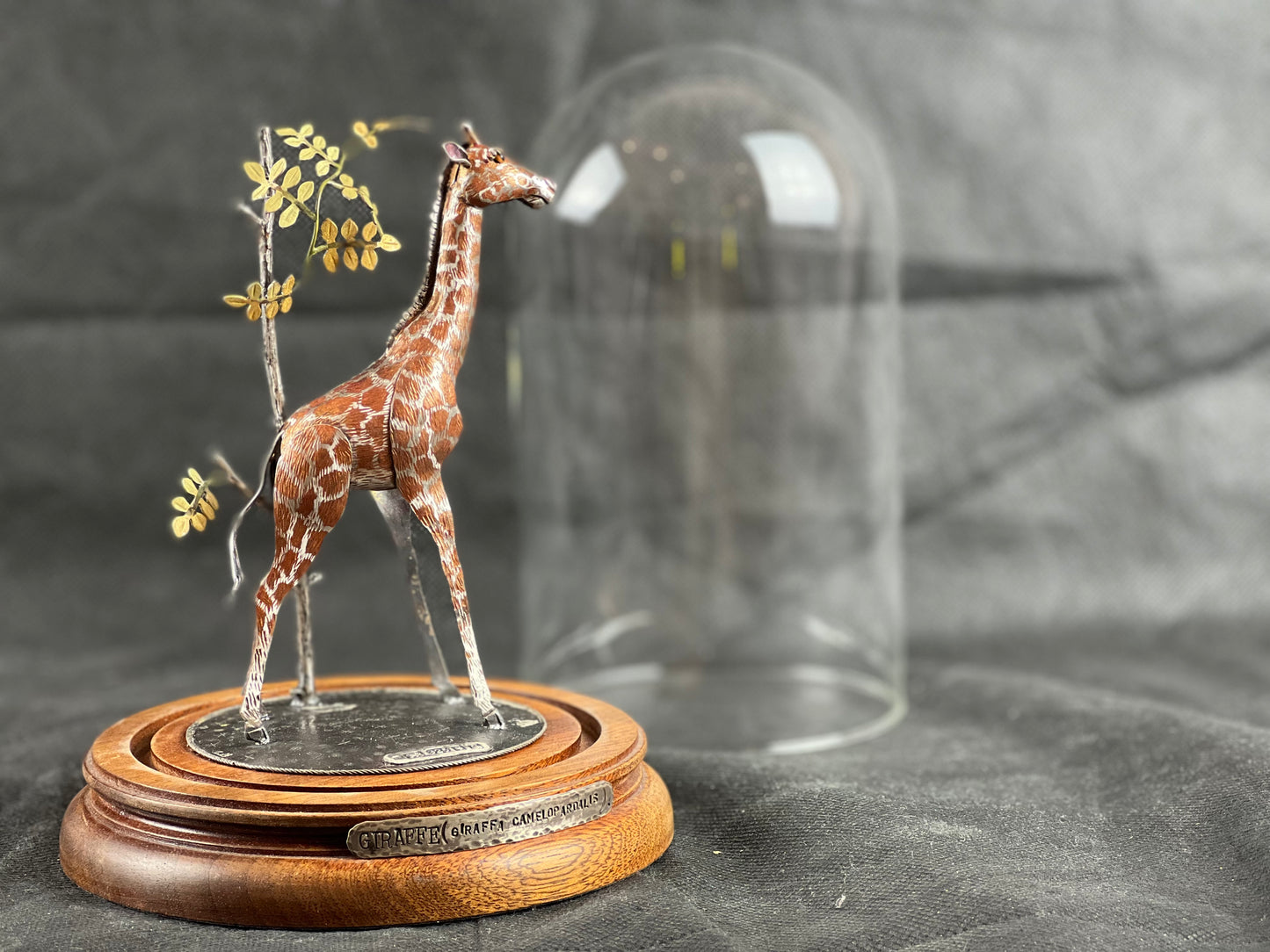 Mather, Carol – Giraffe in glass dome
