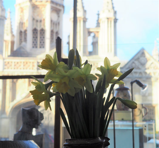 Primavera, Spring Has Sprung