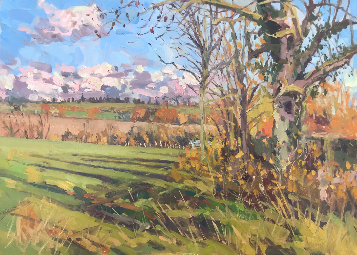 Allbrook, Sarah - ‘Autumn Landscape, Hertfordshire’