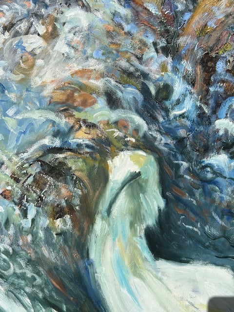 Thomas, Jean - Touching Gannets