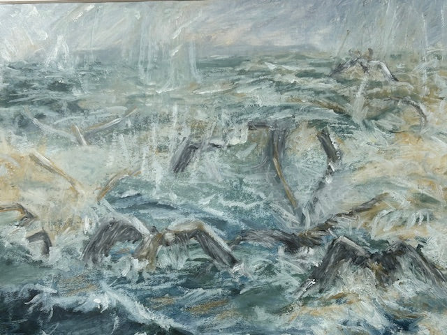 Thomas, Jean - Explosion of Gannets