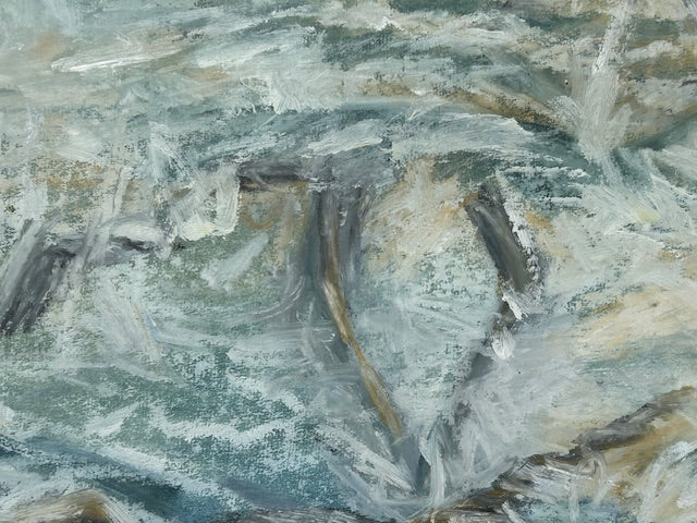 Thomas, Jean - Explosion of Gannets
