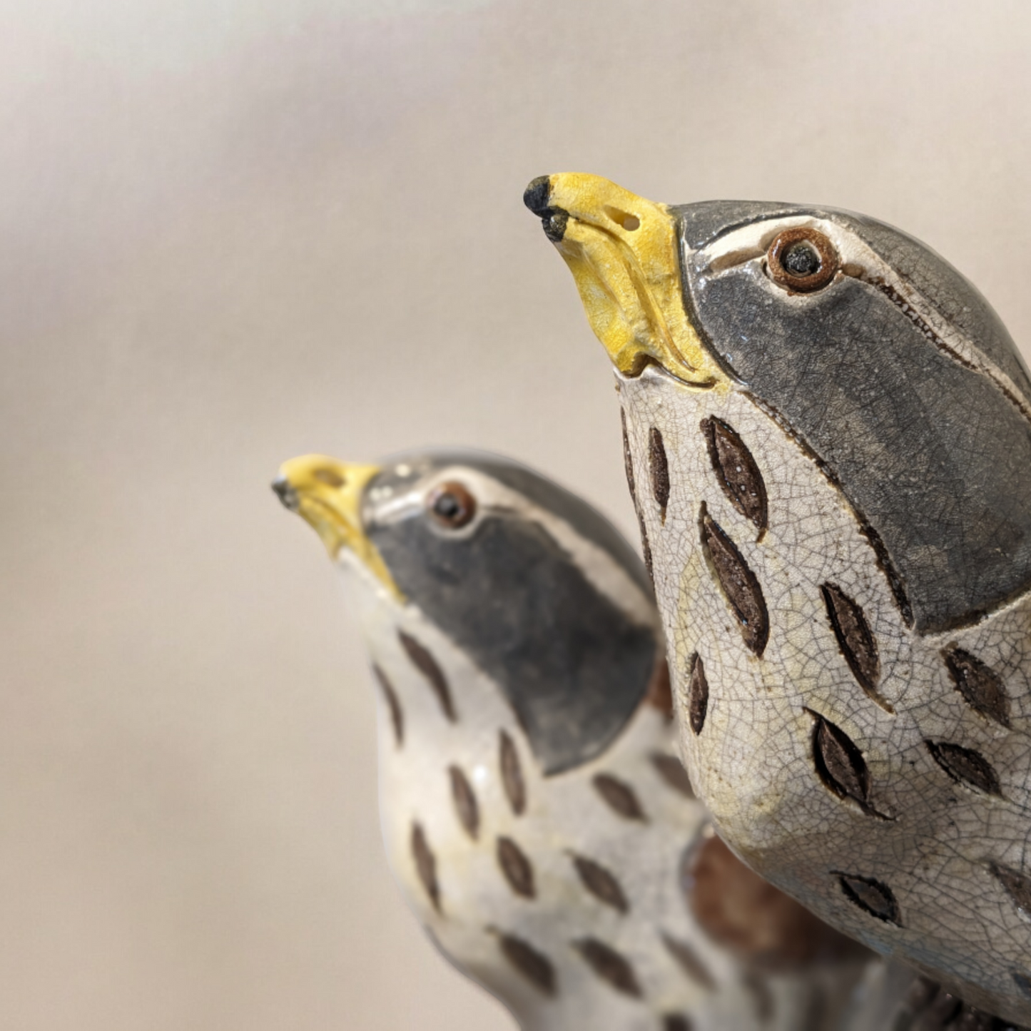 Hale, Jennie - Ceramic Fieldfare Bird Sculpture