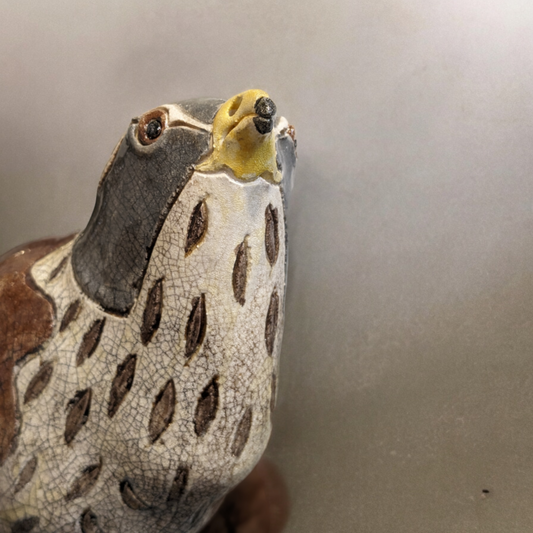 Hale, Jennie - Ceramic Fieldfare Bird Sculpture