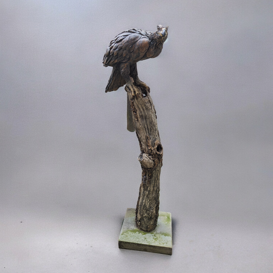 Cooke, David - Ceramic Eagle
