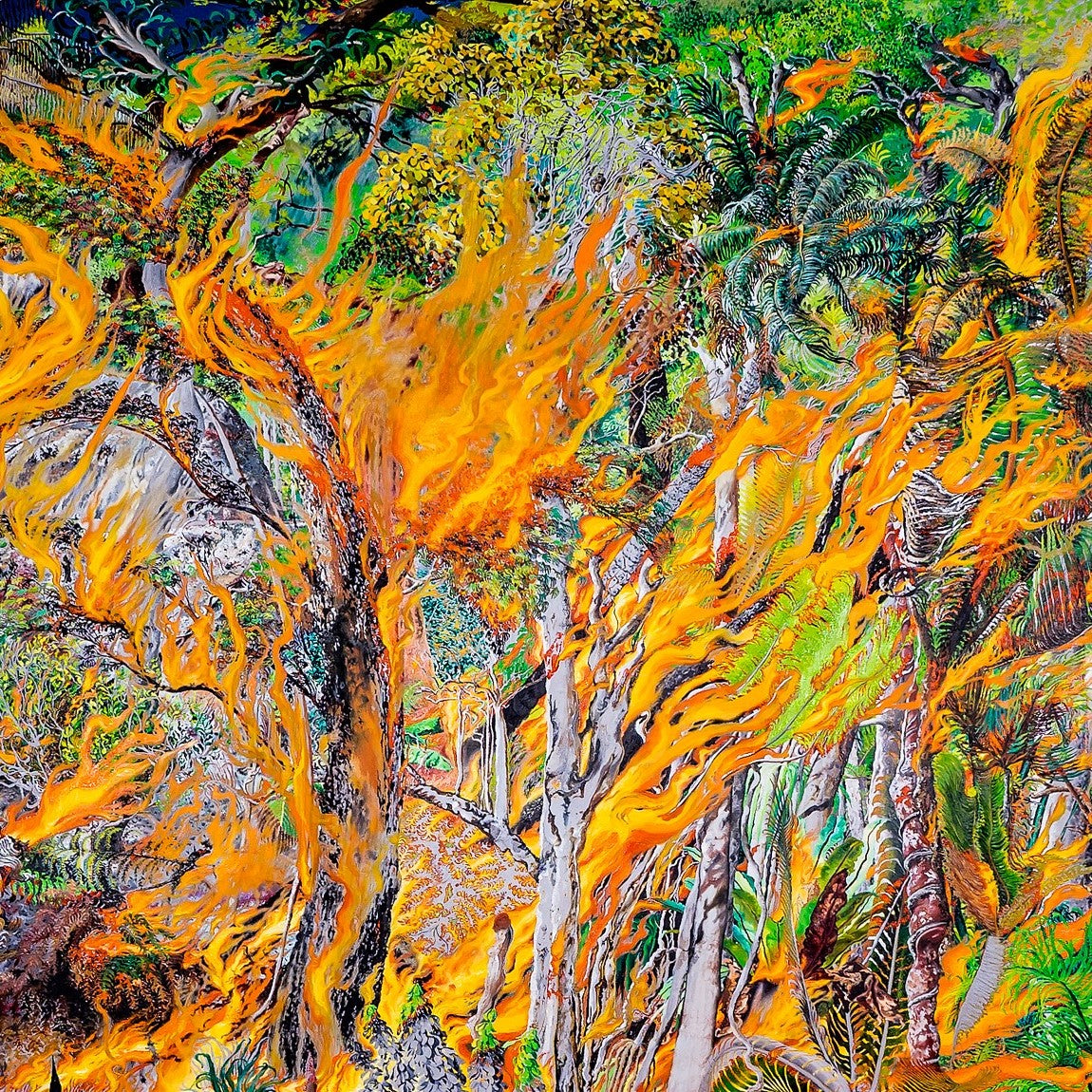 Hollingshead, Josh – Rainforest Fire | Josh Hollingshead | Primavera Gallery