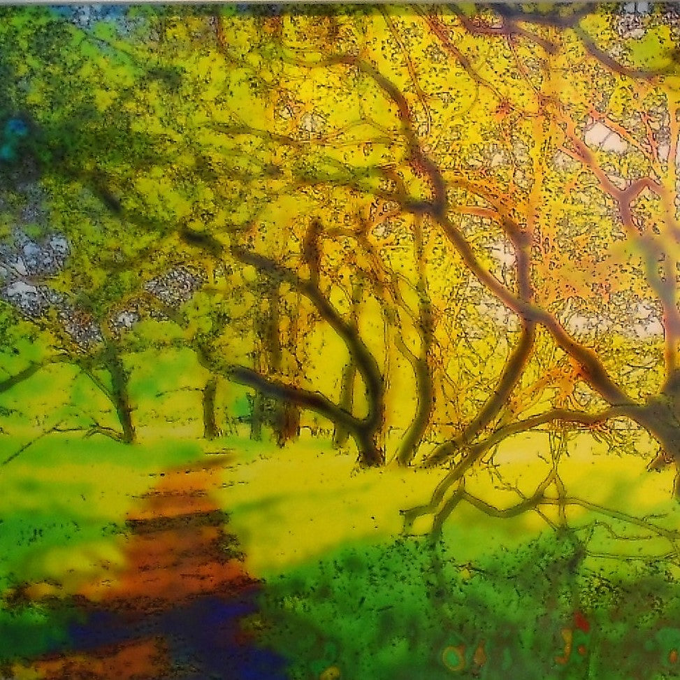 Lane, Malcolm – Enchanted Forest | Malcolm Lane | Primavera Gallery