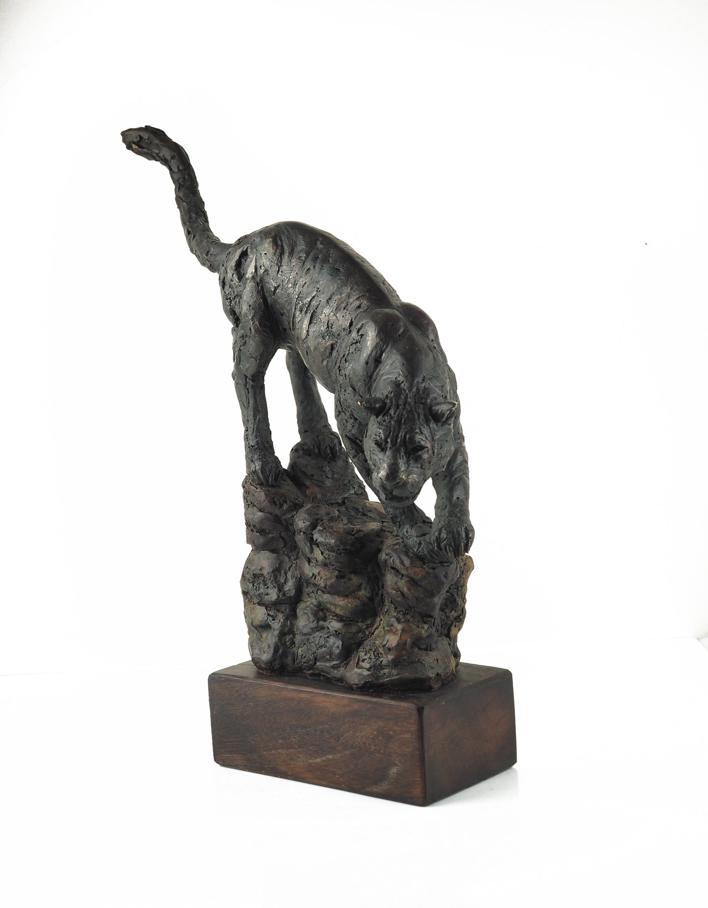 Cooke, David - Bronze Panther | David Cooke | Primavera Gallery