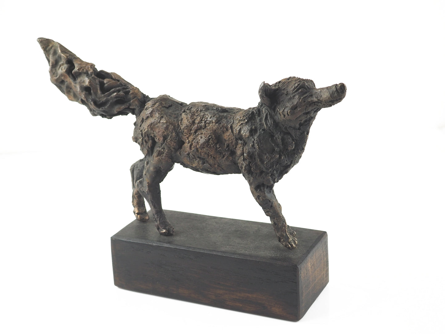 Cooke, David - Bronze Fox | David Cooke | Primavera Gallery