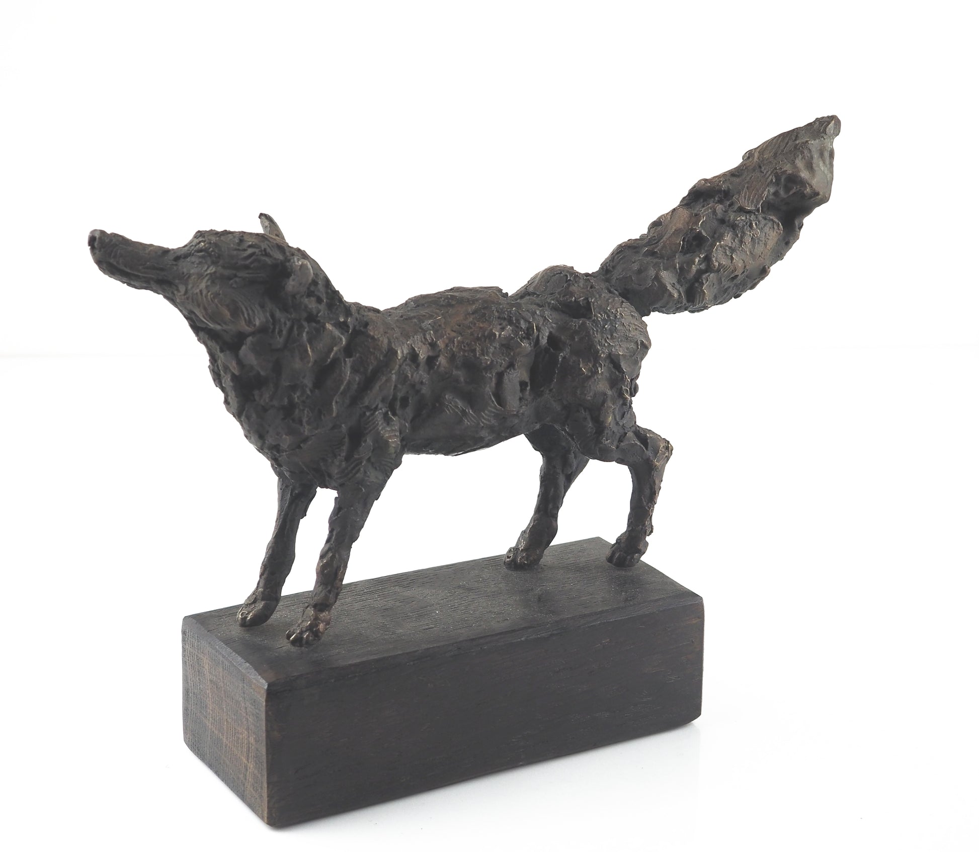 Cooke, David - Bronze Fox | David Cooke | Primavera Gallery