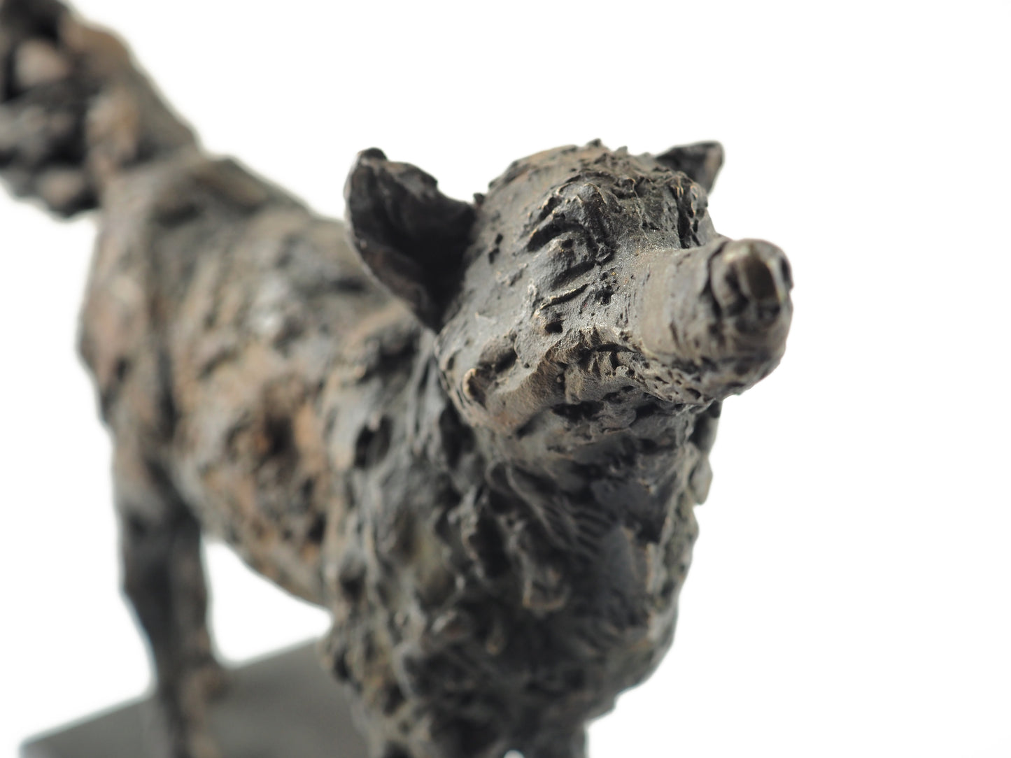 Cooke, David - Bronze Fox | David Cooke | Primavera Gallery