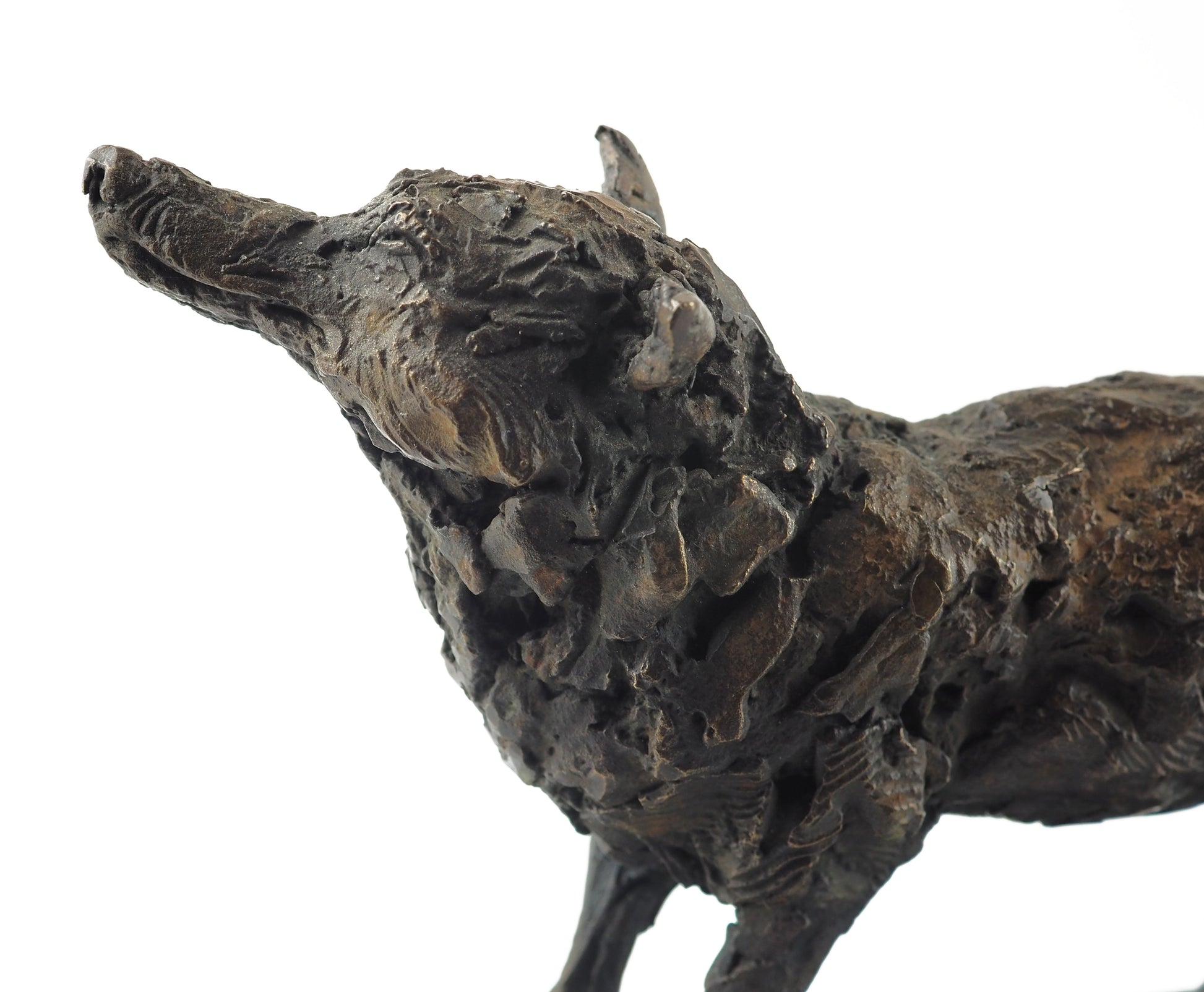 Cooke, David - Bronze Fox | David Cooke | Primavera Gallery