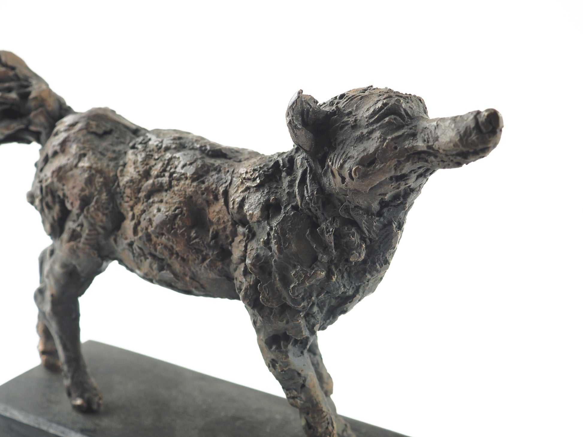 Cooke, David - Bronze Fox | David Cooke | Primavera Gallery