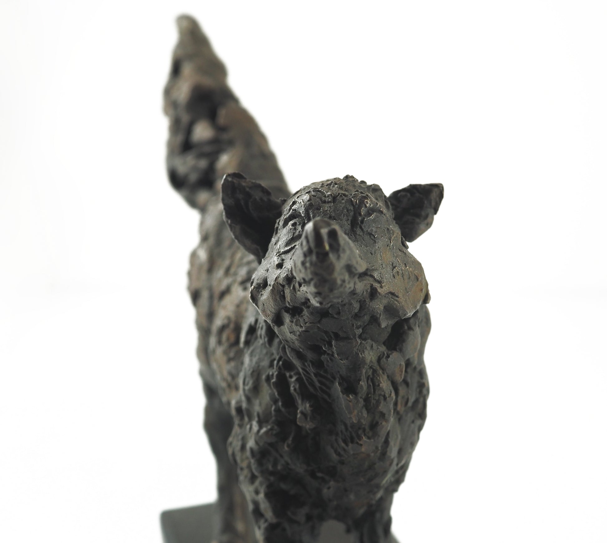 Cooke, David - Bronze Fox | David Cooke | Primavera Gallery
