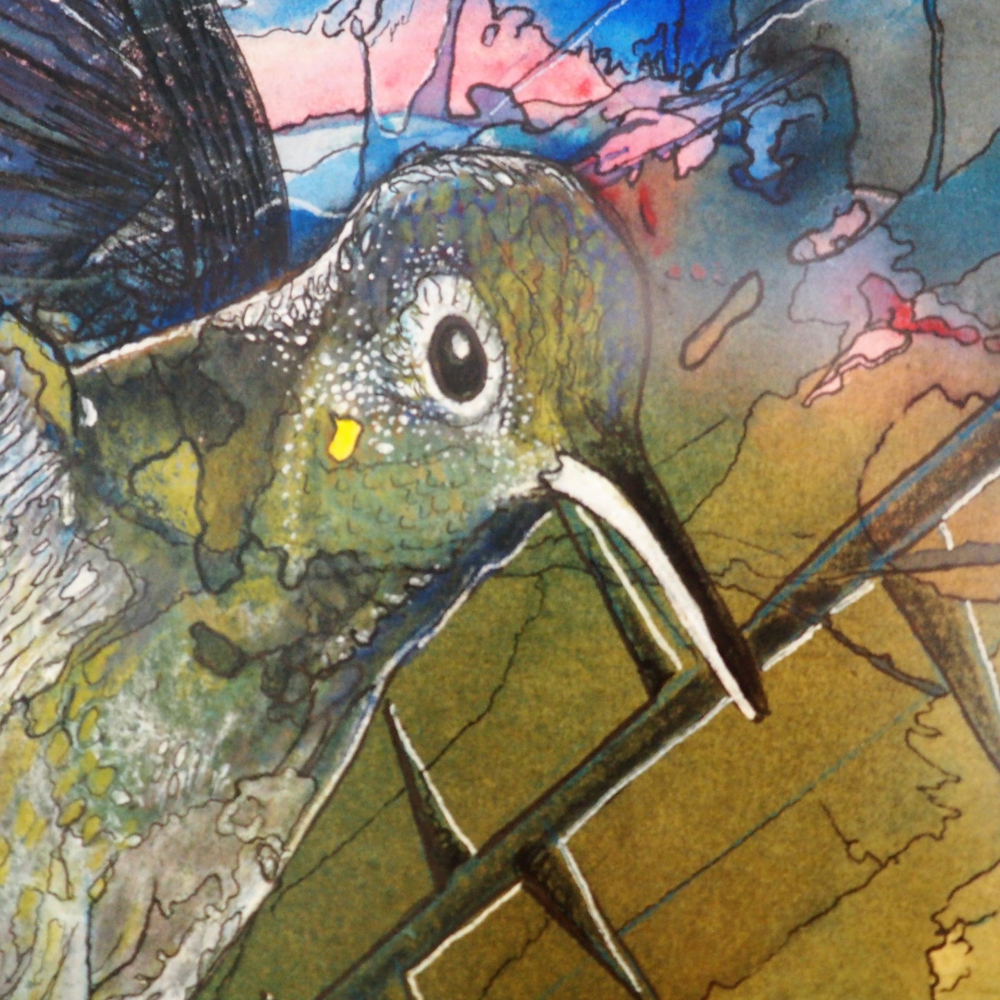 Corvalan, Gemma – Fickle Hummingbird | Gemma Corvalan | Primavera Gallery
