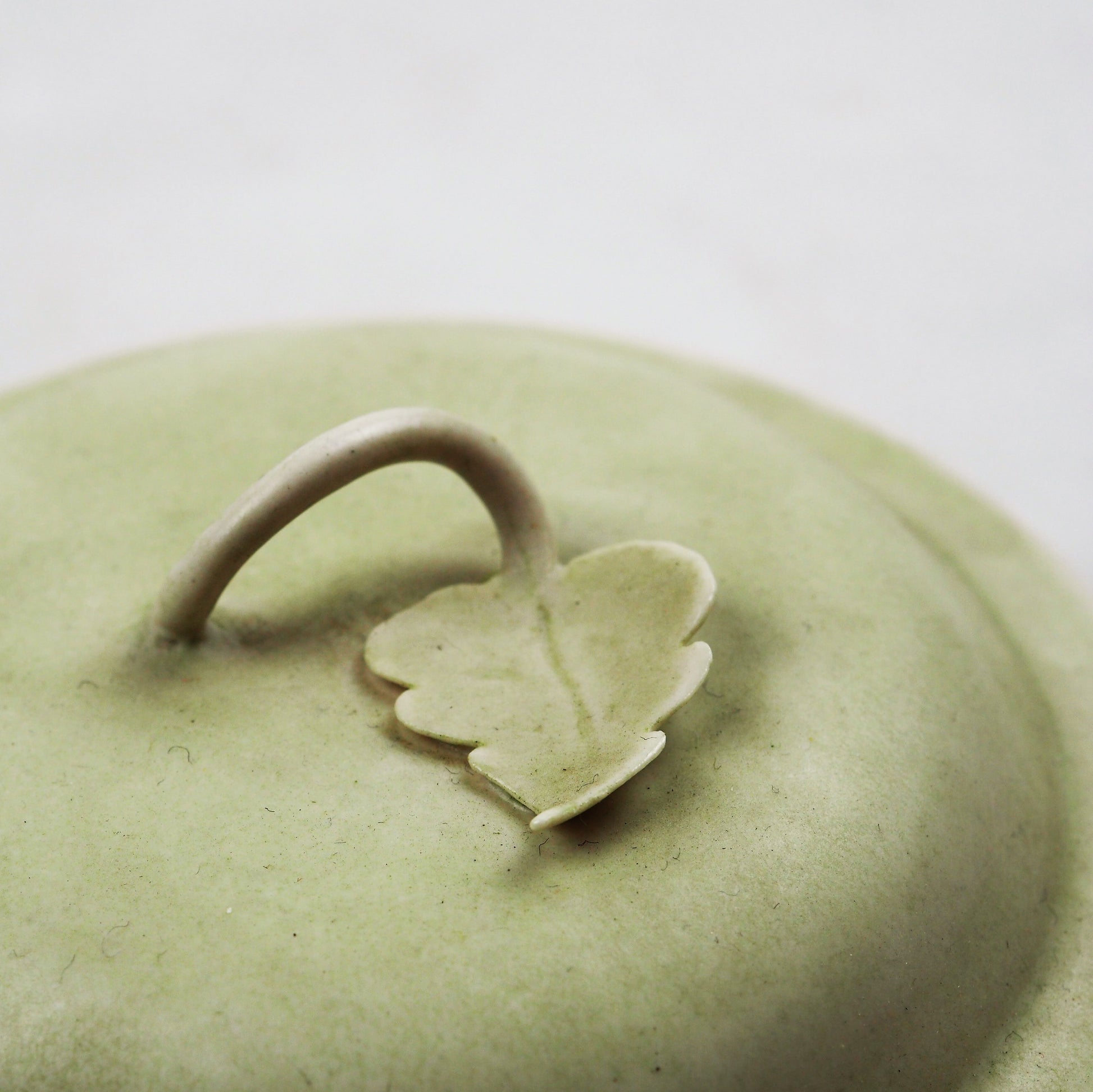 Spencer-Green, Alan – Lidded Bowl with Leaf Handle | Alan Spencer-Green | Primavera Gallery