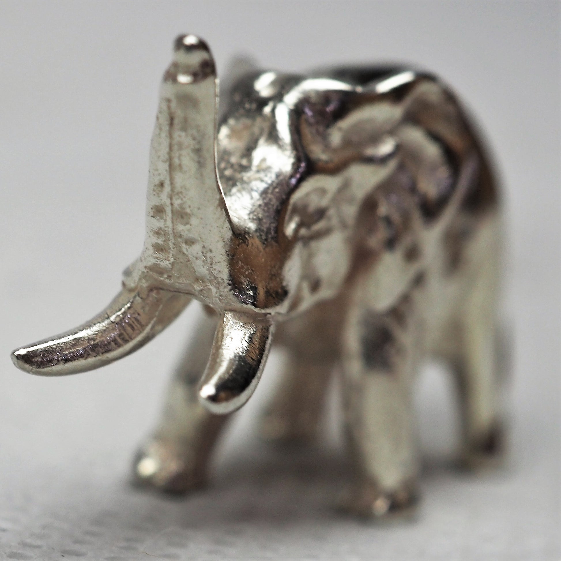 Jones, Sarah - Silver Elephant | Sarah Jones | Primavera Gallery