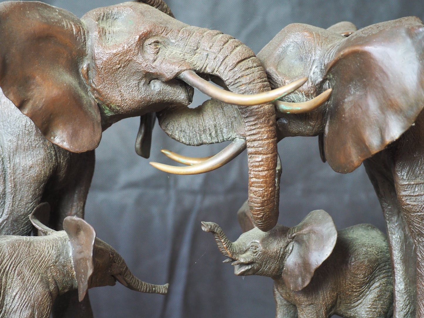 Mathews, Terry – Elephants