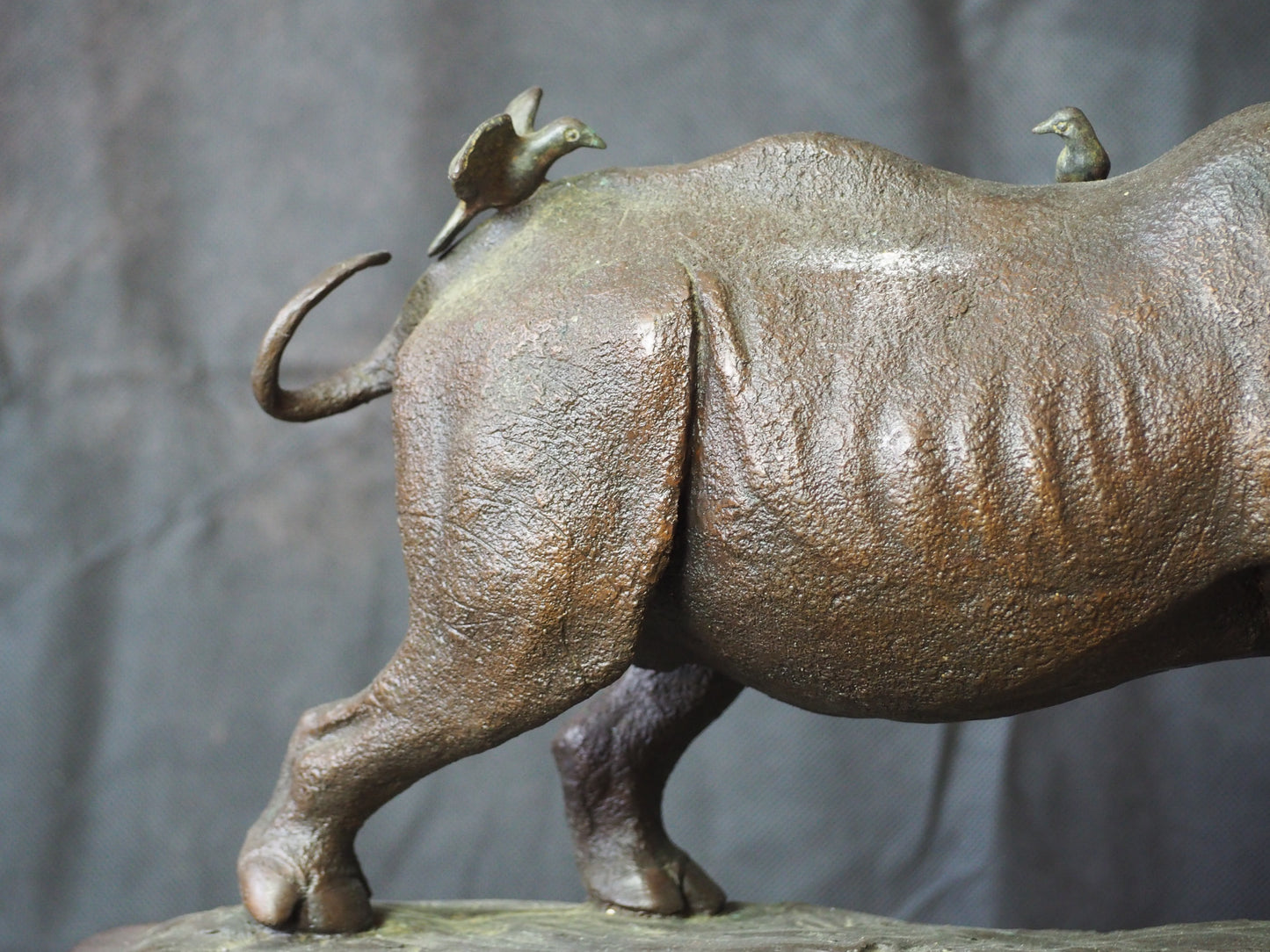 Mathews, Terry – Rhino