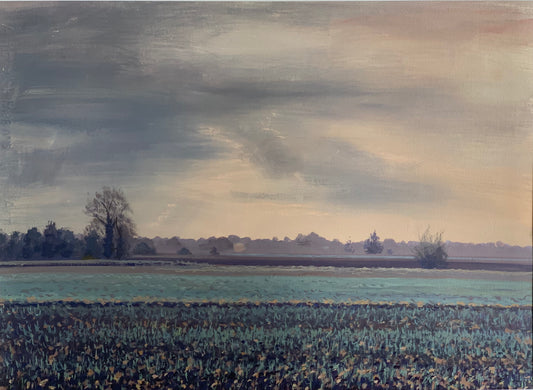 Day, Anthony - 'Fields after Winter'